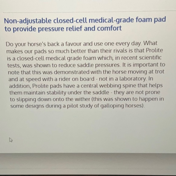 Prolite pressure relief back riser pad - Picture 7 of 7